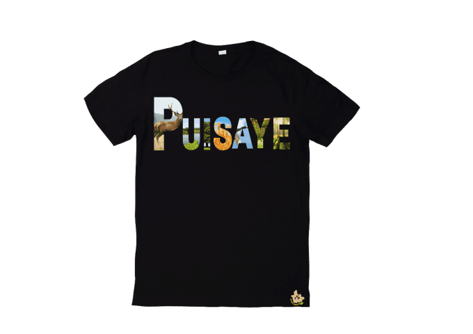 Puisaye